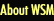 About Web Stream Media